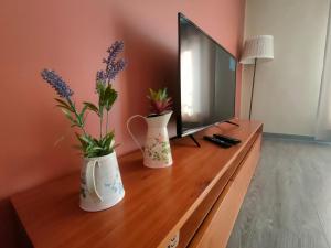 Alto Minho Central Apartment