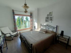 Alto Minho Central Apartment