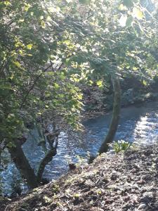 Lescale Arquaise, la maison au jardin fleuri à 5 min de dieppe 7 jours minimum
