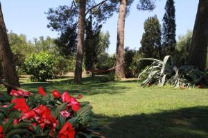 Agriturismo La Ronca
