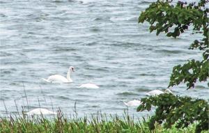 2 Bedroom Cozy Home In Osieki