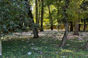 Maisons de vacances Spacious house in a wooded park enclosed by walls and its swimming pool : photos des chambres