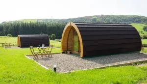 Kilbane Glamping - Kilkishen