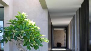 Lombok Private Villa Estate - Pool Villas by the Beach