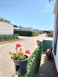 Campings Les Mouettes de Pordic : photos des chambres