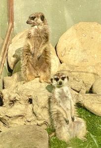 Agriturismo Villa Paradiso Esotico