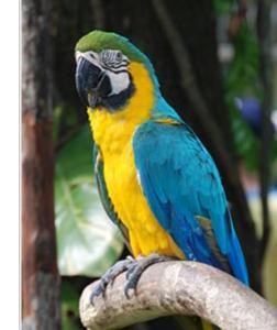 Agriturismo Villa Paradiso Esotico