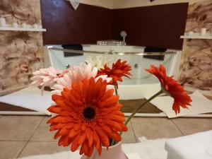 Villa Laura Apartment