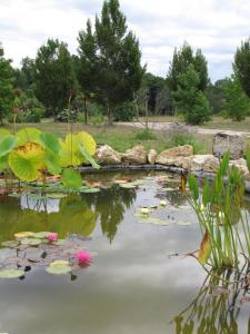 Maisons de vacances Chateau Ysard : photos des chambres