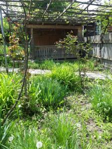 Воржоми Mzetamze