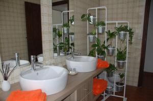 Maisons de vacances Chateau Ysard : Suite - Vue sur Piscine 