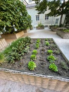 Appartements Au jardin de La Basilique : photos des chambres