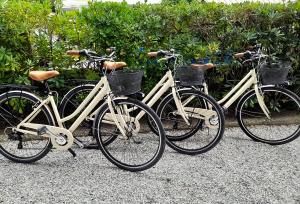 Ampio, elegante apt con aria condizionata e bici gratis