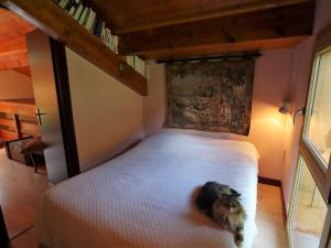 Chalet darchitecte au calme, 2 chambres, proche Arêches et piste, pour 7 personnes - FR-1-342-288