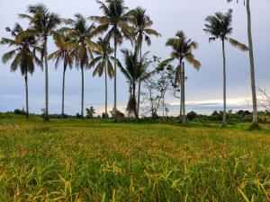 Wanna Homestay