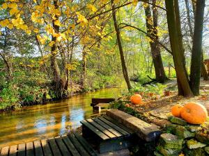 Jurajska Sielanka - domek nad rzeczką