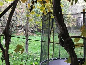 Cabana Trei Brazi Dambovita