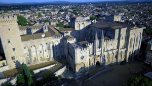 Chalets Les Oliviers de Camargue : photos des chambres