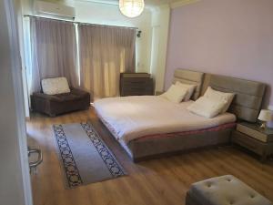 ZED PARK VIEW Top Roof Apartment Sheikh Zayed