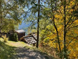 Cosy Chalet in Val d’Hérens, Swiss Alps, 1333m