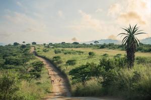 Tala Collection Game Reserve