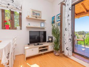 Apartment MILA with Swimming Pool