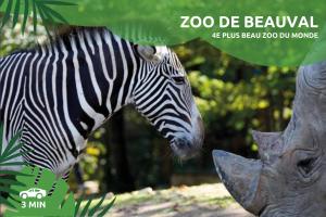 Maisons de vacances ''Le Savannah'' - Jacuzzi - A 3min du Zoo de Beauval : photos des chambres