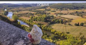 Chalets NiD'Amour l'Hirondelle : photos des chambres