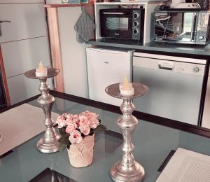 Chalets NiD'Amour l'Hirondelle : photos des chambres