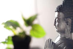 Residencial Primavera