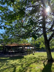 Domaine de l'Epau Eco-Resort - Eco-Lodges : photos des chambres