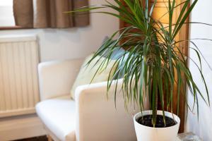 Hampstead 19th Century Village Cottage - Pass the Keys