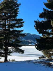 Appartements Studio au pied des pistes avec vue • wifi • balcon ... : photos des chambres