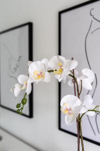 River 9 and City View Porto Gaia by MP