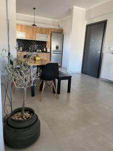 Eleusis Luxury Flat,car park in property