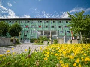 Kolpinghaus Salzburg - SommerHOSTEL - 皮丁