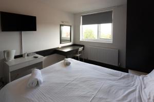 Double Room room in Pelham Hotel