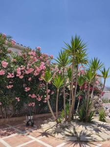 Vivienda Rural Las Bartolas