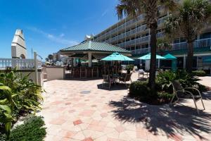 Driftwood Dreams at the Beach