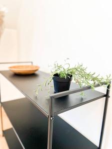 Appartements La Nature au Coeur de Guingamp - ParkinG - : photos des chambres