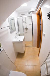 Apartmány Ludmila - Ludkovice 9