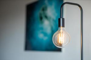 The Lagune, light and sunny apartment in the dunes