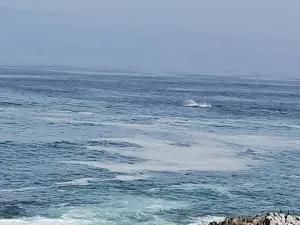 On the Rocks Guesthouse - Gansbaai