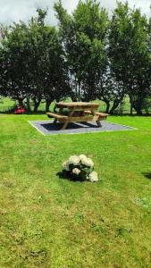 The Cow Hide @ Mill Burn Hollow.