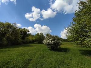 gemütliche Wohnung mit Kamin - Sunny Hill Holiday Home