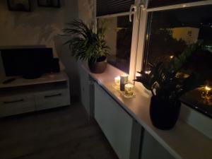 Apartament 66