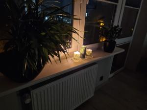 Apartament 66