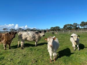 Bass River Farm