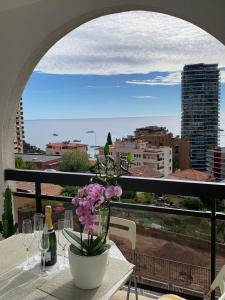 Monaco Stunning Sea Views, Larvotto beach, Terrace, 2 bedrooms, 2 bathrooms, up to 6 person, lift, 1st floor