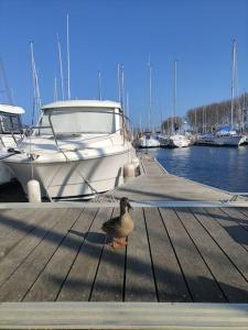 Bateaux-hotels Nuit insolite sur l'eau au port de Ouistreham : photos des chambres